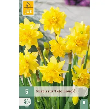 Cibulovina Narcis Tête Bouclé (5 cibulí, plnokvětý, nízký, zlatožlutý)