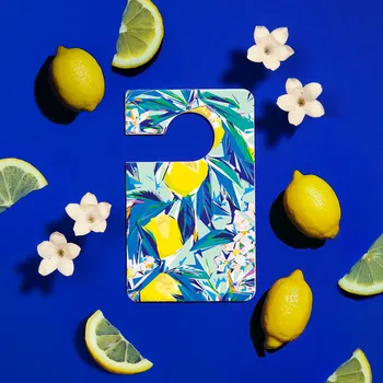 Vůně do auta BAÏJA BLUE GINGER Vůně do auta