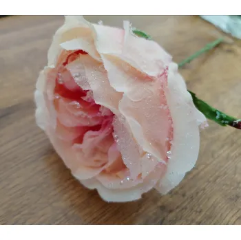 Vánoční dekorace Zimní růže broskvová F95491