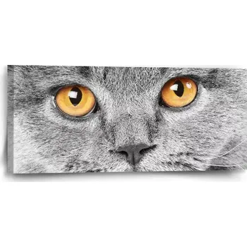 Obraz Sablio Obraz Kočičí pohled - 110x50 cm
