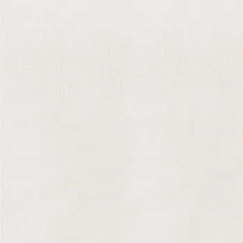 Dlažba ARTÉ Dlažba Arté Idylla white mat rektifikovaná 45x45 99219014