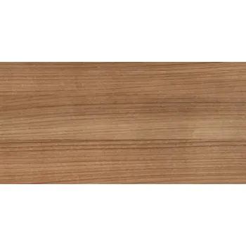 Obklad RAKO Obklad Rako Suite světle hnědá lesk 20x40 WARMB382 WARMB382