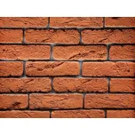 MAGICRETE Fasádní obklad Magicrete Cihla oranžová 7x29x2 MAG4007C MAG4007C