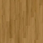 Vinylová podlaha Karndean Conceptline 30122 Dub zlatý 3,37 m² 118164901