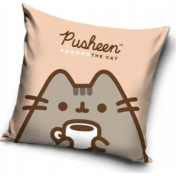 Povlak na dekorativní polštářek Povlak Carbotex Pusheen 40 x 40 polštáře