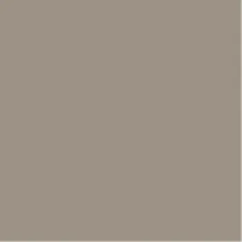 Obklad RAKO Obklad Rako Color One béžovošedá lesk 20x20 WAA1N302 WAA1N302