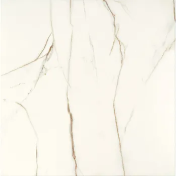 Dlažba ARTÉ Dlažba Arté Floris white mat rektifikovaná 60x60 99209299