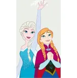 Osuška Frozen - Elsa a Anna 70x140 cm 227146126