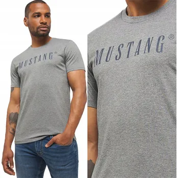 Pánské tričko Tričko Mustang Alex C Logo Tee 1013221-4140 M