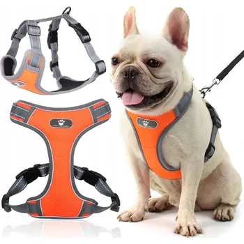 Postroj pro psa Postroj pro psa ASTRO oranžový, velikost M - tréninkový a vycházkový