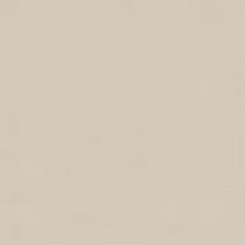 Dlažba RAKO Dlažba Rako Color Two světle béžová mat 20x20 GAA1K107 GAA1K107