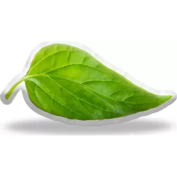 Polštář Sablio 3D polštář ve tvaru List