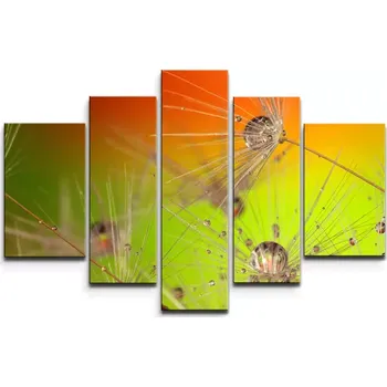 Obraz Sablio Obraz - 5-dílný Odkvetlé pampelišky - 125x90 cm
