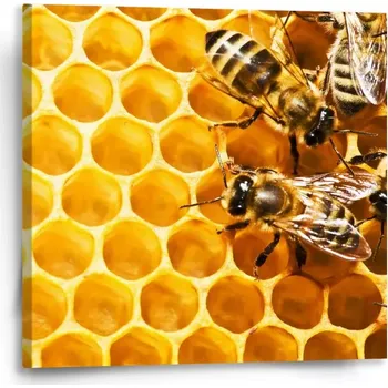 Obraz Sablio Obraz Včely - 50x50 cm