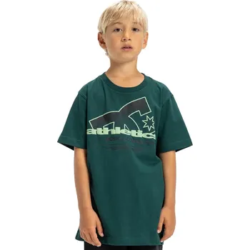 Pánské tričko tričko DC Slathletic - GTP0/Ponderosa Pine 16 Years