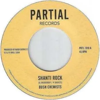 Zahraniční hudba The Bush Chemists: Shanti Rock 2017