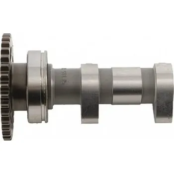 C&L COMPANIES Camshaft intake HOT CAMS 2070-1IN