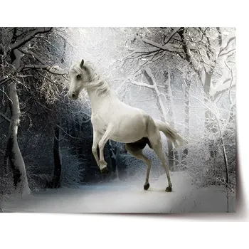Plakát Sablio Plakát Bílý kůň - 60x40 cm
