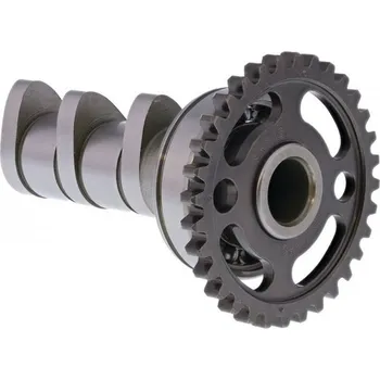 C&L COMPANIES Camshaft intake HOT CAMS 4012-1IN