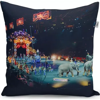 Polštář Sablio Polštář Cirkus - 50x50 cm