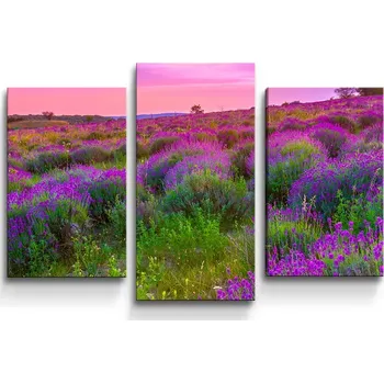 Obraz Sablio Obraz - 3-dílný Levandulové pole 2 - 75x50 cm