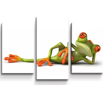 Obraz Sablio Obraz - 3-dílný Ležící žába - 75x50 cm