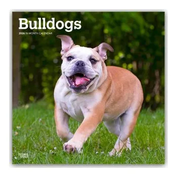 Diář Bulldogs - Bulldogge 2026 - 16-Monatskalender (EN)