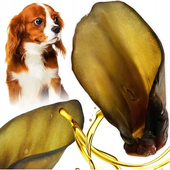 Pamlsek pro psa POCHOUTKA PRO PSA PŘÍRODNÍ SUŠENÁ ŽVÝKACÍ TYČINKA HOVĚZÍ UCHO S MEDEM 1 KS