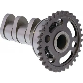 C&L COMPANIES Camshaft intake HOT CAMS 4054-2IN