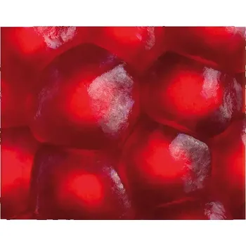 Plakát Sablio Plakát Granátové jablko - 90x60 cm