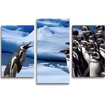 Obraz Sablio Obraz - 3-dílný Tučňáci - 75x50 cm