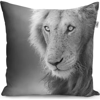 Polštář Sablio Polštář Lvíček - 40x40 cm