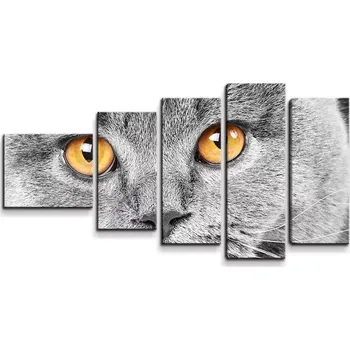Obraz Sablio Obraz - 5-dílný Kočičí pohled - 100x60 cm