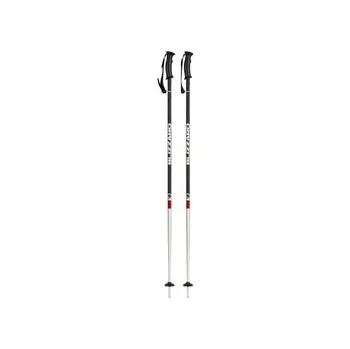 Sjezdové lyžování BLIZZARD Lyžařské hole BLIZZARD Rental junior ski poles, Velikost 95 cm