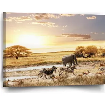 Obraz Sablio Obraz Safari - 60x40 cm