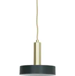 Zeleno-zlaté kovové závěsné světlo Boste - Ø 20*5 cm 128456221