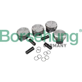 Píst motoru Píst Borsehung B11134