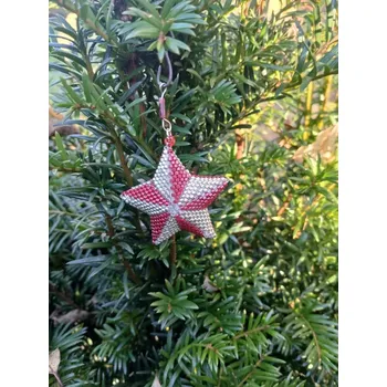 Vánoční dekorace červeno stříbrná vánoční hvězda 3D