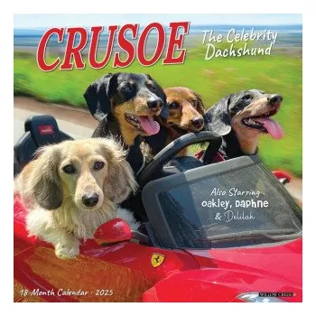 Kalendář Crusoe the Celebrity Dachshund 2026 12 X 12 Wall Calendar (Kalendář)