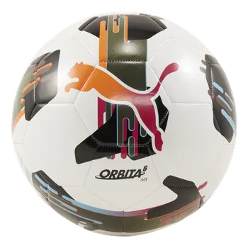 Fotbalový míč Puma Orbita 6 MS bílá/černá UK 5