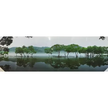 Obraz Bondecor Obraz "Green trees" - tisk na plátno, 150x50cm