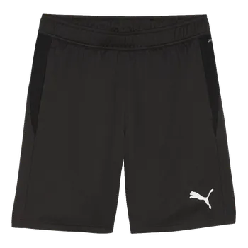 Puma teamGOAL černá UK M
