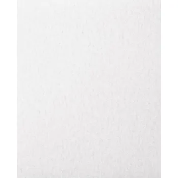 Brusný kotouč PFERD TOOLS BP ECO AC 230X280 A 100 45015243 brusný papír Zrnitost 100 (d x š) 280 mm x 230 mm 50 ks