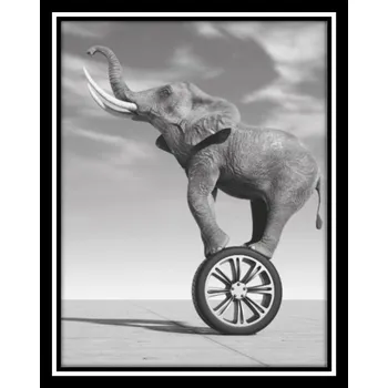 Obraz Bondecor Obraz černobílý "Slon na pneu" 24x30cm Barva: Černá