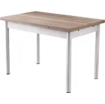 ASIR Polo 1302 dub/bílý