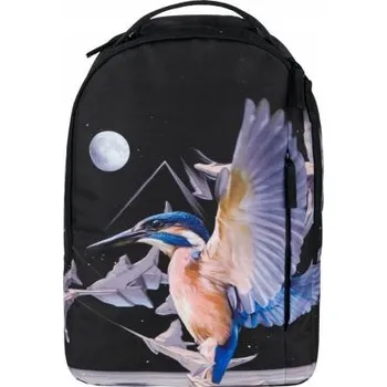 Školní batoh Školní batoh vícekomorový BAAGL vícebarevný 20 l