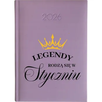 Kalendář Knižní kalendář 2026 A5 FunnyCase vícebarevný