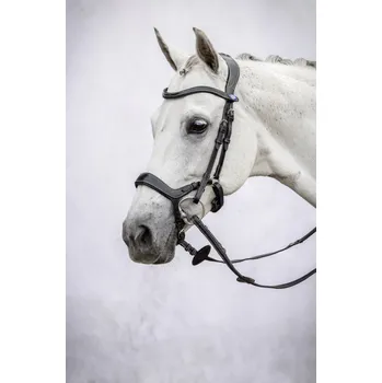 PS of Sweden Uzdečka Pioneer PS of Sweden, černá COB