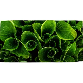 Osuška Sablio Ručník Zelené listy - 70x140 cm