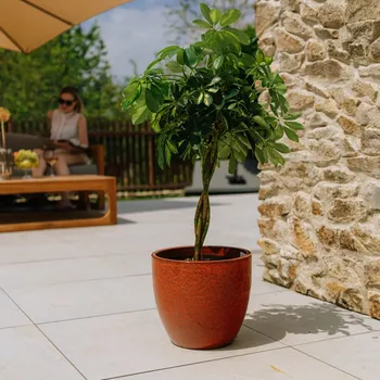 Květináč Keramický Květináč oranžový Provencelia 21 cm x 19 x 21 cm